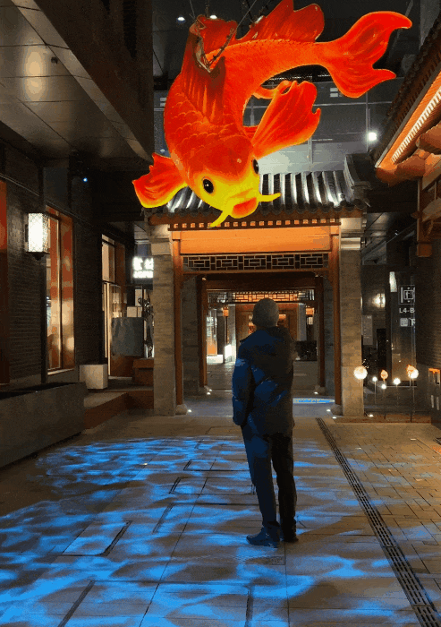 5.gif