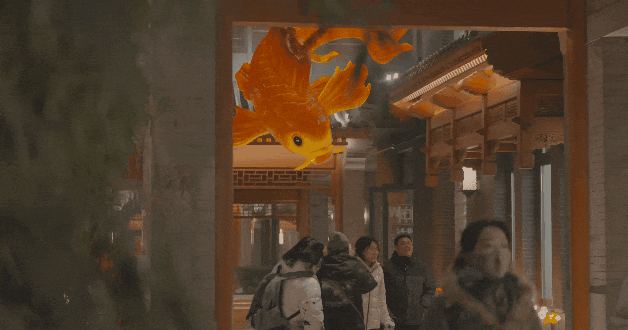 6.gif