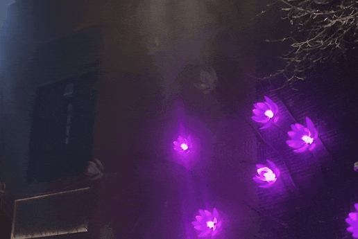 7.gif