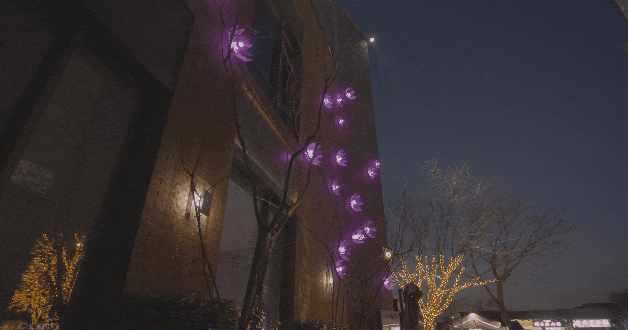 8.gif